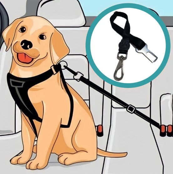 Pet Seatbelt